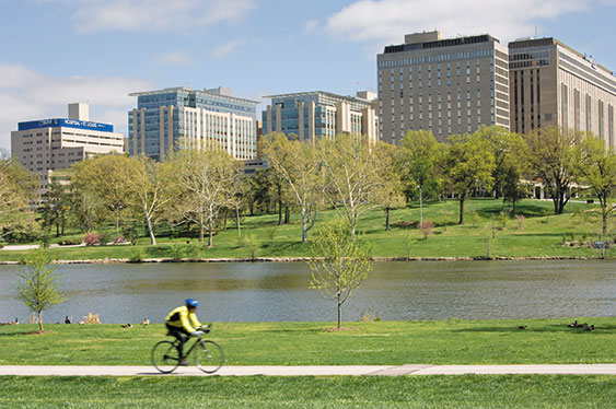 Photo of cyclist in Forest Park