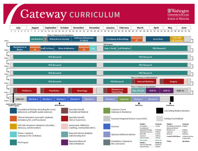 Gateway Curriculum MSTP Program overview chart